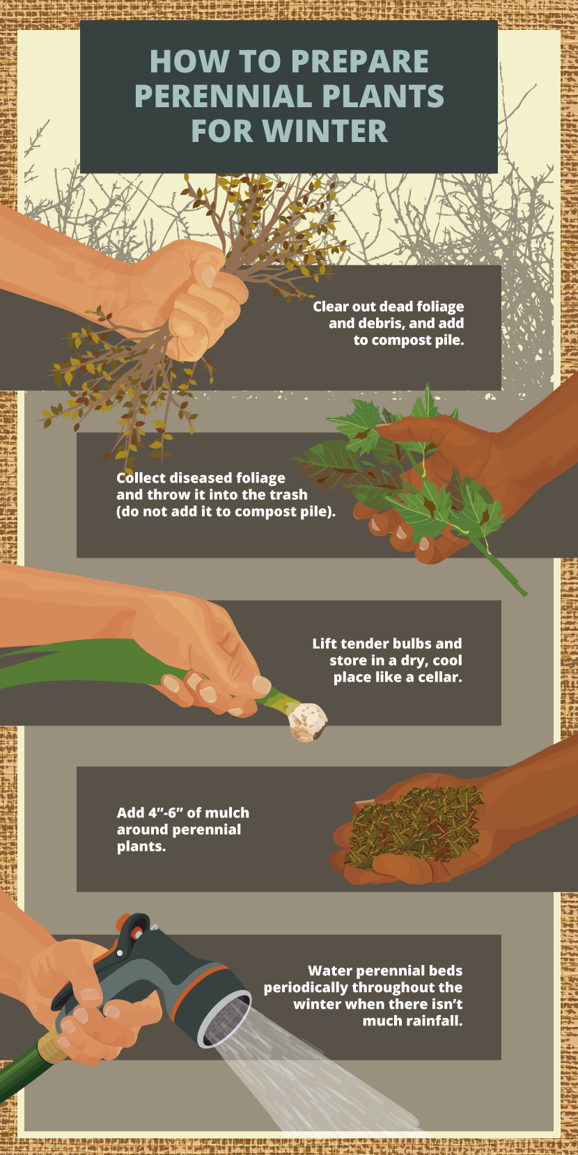 How To Prepare Your Raised Beds For Winter: Essential Tips