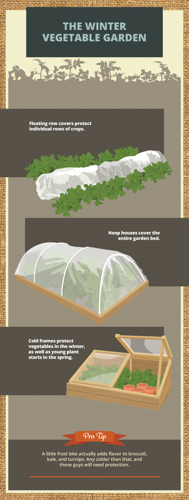How to Prepare your Garden for Winter - Welcome to the DoHire Blog
